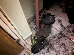 Эксперт советует анапчанам не хранить электросамокаты в квартире – это может быть опасно