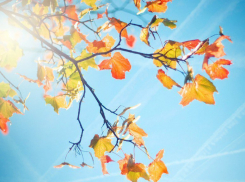 Сегодня, 28 сентября, в Анапе ясно, но прохладно