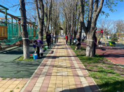 Анапчан приглашают на общегородской субботник