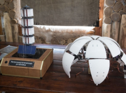 Сегодня в Анапе молодые инженеры покажут роботов с искусственным интеллектом