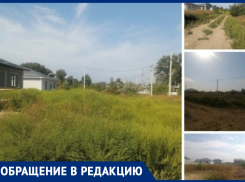 «Не косят годами»: анапчанка о масштабных проблемах с амброзией