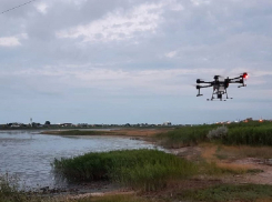 В Анапе водоемы протравили от комаров, а на газонах покосили амброзию