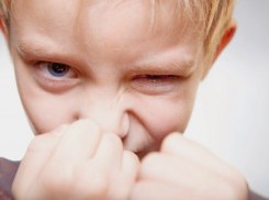 Как справиться с детской агрессией? Комментирует директор школы в Супсехе под Анапой