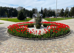 В Светлый праздник Пасхи в Анапе, в основном, солнечно