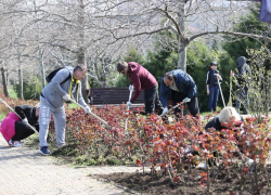  20 мая в Анапе пройдет общегородской субботник