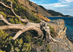 Анапский заповедник «Утриш» объявил региональный конкурс