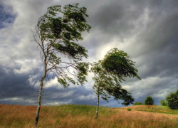 Штормовое предупреждение в Анапе, Новороссийске и Геленджике продлили до вечера 9 февраля