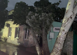 Дерево упало на крышу жилого дома во время ливня в Анапе