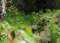 В День библиотекаря в Анапе облачно и без дождя