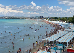 День собаки будет в Анапе тёплым и ветреным