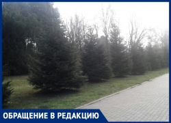 Анапчанка Лариса Антипова предлагает создавать в Анапе ещё больше парков