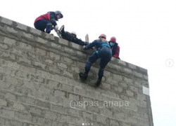 В Гай-Кодзоре под Анапой спасатели сняли мужчину с 7-метровой высоты