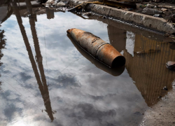 В 2023 году ущерб окружающей среде на Кубани вырос почти вдвое – в Анапе увеличилось число нарушений