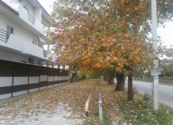 День Книги рекордов Гиннеса в Анапе будет ясным