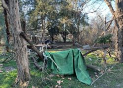 НЕ«Детский парк»: во что превратилась прибрежная зона за парком «Джунгли»