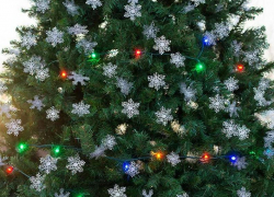 Где в Анапе можно купить елки 