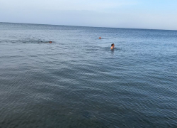 За неделю до зимы люди с удовольствием купаются в Чёрном море у берегов Анапы