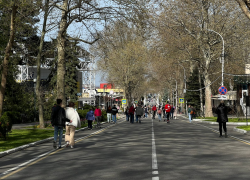 В День поисков смысла жизни в Анапе ожидается небольшой дождь