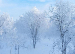 Экстренное предупреждение для жителей Кубани выпустили из-за резкого понижения температуры