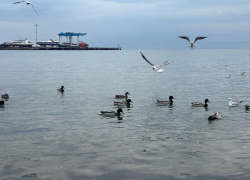 В день обнимания с солнцем в Анапе совсем не солнечно