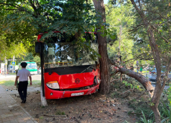 Автобус с людьми врезался в дерево в Анапе