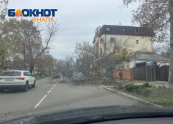 В Анапе бушует непогода – курорт усеян поваленными деревьями