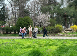 В Большой Анапе проходит масштабный субботник 