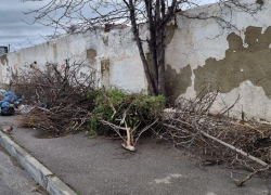 Жители Анапы присылают в редакцию фотографии с горами мусора и сваленными ветками