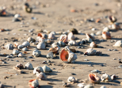 Гороскоп для анапчан с 21 по 27 ноября: у Весов будет беспокойная неделя