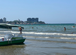 Август полным ходом: жара, дельфины и чистое море