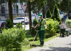 На покос сорняков в Анапе выделили 7 млн рублей