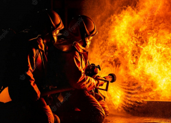 В Анапе запрещено разжигать костры вблизи лесных массивов – высокая пожароопасность