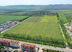 Опять многоэтажка: в Анапе очередной земельный участок отдают под МКД 
