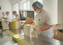 В Анапе завершается строительство завода по выпуску лекарственных препаратов из растительного сырья 