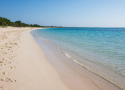 В Анапе и Крыму подвели итоги недели борьбы с мазутом