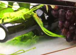 Одно из старейших предприятий Анапы решили обанкротить