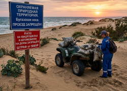 Судьба дюн и природных зон Анапы: защита или реальная помощь природе