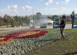 В Анапе усилили уход за зелёными насаждениями из-за жары