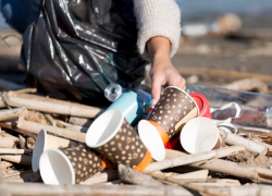 Масштабная экологическая акция пройдет в Анапе