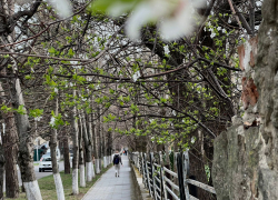 В День рождения мобильного телефона в Анапе будет облачно