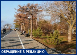 Александр Иванов считает, что в Анапе только 30% пешеходных дорожек соответствуют нормам