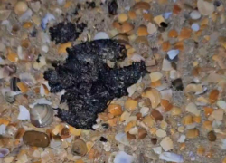 Новая напасть в Анапе: на морской берег вынесло куски мазута