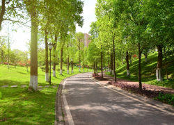 В Анапе определят границы зеленых лесопарковых поясов