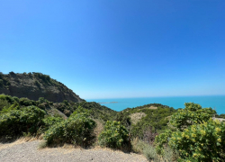 День тайной дружбы будет в Анапе солнечным