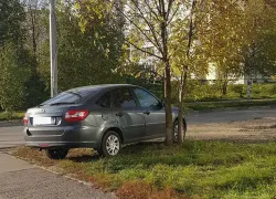 В Анапе будут действовать штрафы за парковку автомобилей на газонах и клумбах