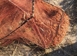 Анапчанина осудили на два года за незаконный вылов креветки и камбалы