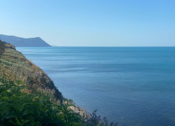 В День кинолога в Анапе ожидается безоблачная погода