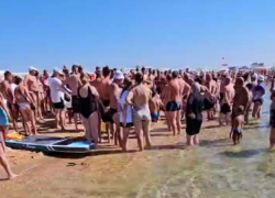 В Анапе на пляже «Венера» чуть не утонул человек