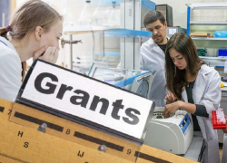 Анапские организации могут заявиться на первый конкурс грантов губернатора