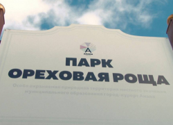 Забор вокруг Ореховой рощи в Анапе демонтируют